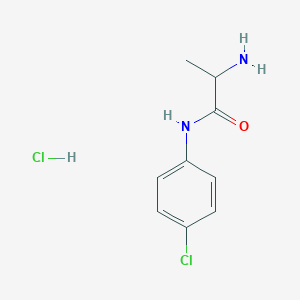 molecular formula C9H12Cl2N2O B2772822 2-氨基-N-(4-氯苯基)丙酰胺；盐酸盐 CAS No. 2416234-88-1