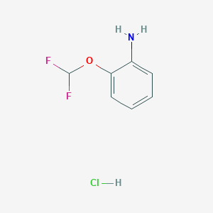 molecular formula C7H8ClF2NO B2774225 2-(二氟甲氧基)苯胺盐酸盐 CAS No. 1782109-33-4