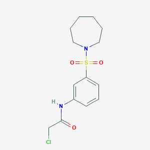 B2774418 N-[3-(azepane-1-sulfonyl)phenyl]-2-chloroacetamide CAS No. 568544-02-5