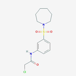 molecular formula C14H19ClN2O3S B2774418 N-[3-(环庚烷-1-磺酰)苯基]-2-氯乙酰胺 CAS No. 568544-02-5