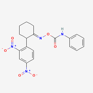 molecular formula C19H18N4O6 B2774828 [(1E)-2-(2,4-dinitrophenyl)cyclohexylidene]amino N-phenylcarbamate CAS No. 478046-40-1