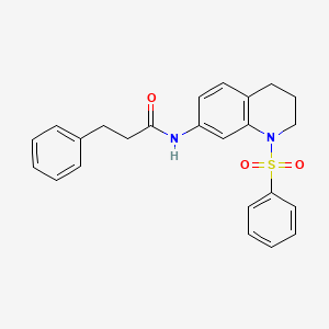 molecular formula C24H24N2O3S B2774946 N-[1-(苯磺酰基)-3,4-二氢-2H-喹啉-7-基]-3-苯基丙酰胺 CAS No. 1005299-33-1
