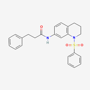 N-[1-(benzenesulfonyl)-1,2,3,4-tetrahydroquinolin-7-yl]-3-phenylpropanamide