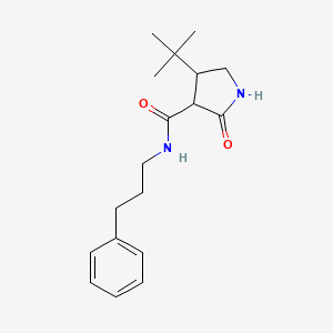 4-tert-butyl-2-oxo-N-(3-phenylpropyl)pyrrolidine-3-carboxamide
