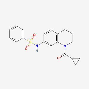 molecular formula C19H20N2O3S B2776019 N-[1-(环丙烷甲酰)-3,4-二氢-2H-喹啉-7-基]苯磺酰胺 CAS No. 898465-58-2