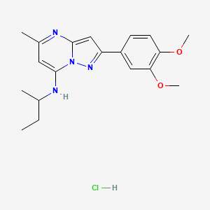 N-(sec-butyl)-2-(3,4-dimethoxyphenyl)-5-methylpyrazolo[1,5-a]pyrimidin-7-amine hydrochloride