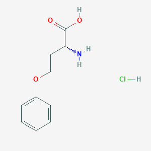 molecular formula C10H14ClNO3 B2777314 (2R)-2-氨基-4-苯氧丁酸盐酸盐 CAS No. 2031242-33-6