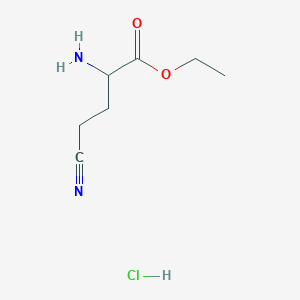 molecular formula C7H13ClN2O2 B2777575 Ethyl 2-amino-4-cyanobutanoate;hydrochloride CAS No. 97070-43-4