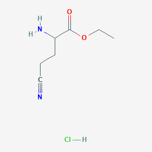 molecular formula C7H13ClN2O2 B2777575 ethyl2-amino-4-cyanobutanoatehydrochloride CAS No. 97070-43-4