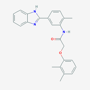 molecular formula C24H23N3O2 B277775 N-[5-(1H-benzimidazol-2-yl)-2-methylphenyl]-2-(2,3-dimethylphenoxy)acetamide 