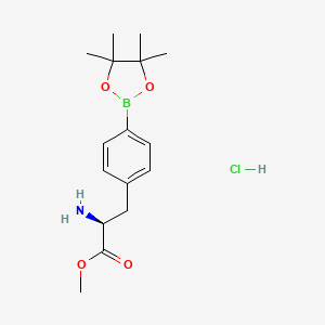 molecular formula C16H25BClNO4 B2777927 甲基(2S)-2-氨基-3-[4-(四甲基-1,3,2-二氧杂硼杂环戊烷-2-基)苯基]丙酸酯盐酸盐 CAS No. 2377587-56-7