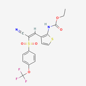molecular formula C17H13F3N2O5S2 B2779535 N-(3-(2-nitrilo-2-((4-(trifluoromethoxy)phenyl)sulfonyl)vinyl)(2-thienyl))ethoxyformamide CAS No. 1159976-52-9