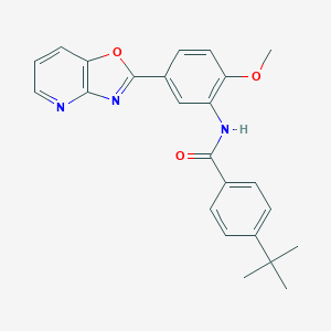 molecular formula C24H23N3O3 B277979 4-tert-butyl-N-(2-methoxy-5-[1,3]oxazolo[4,5-b]pyridin-2-ylphenyl)benzamide 
