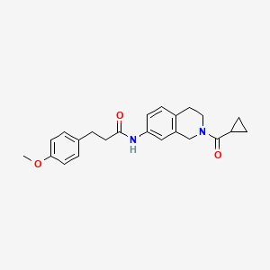 molecular formula C23H26N2O3 B2780105 N-(2-(cyclopropanecarbonyl)-1,2,3,4-tetrahydroisoquinolin-7-yl)-3-(4-methoxyphenyl)propanamide CAS No. 955765-52-3