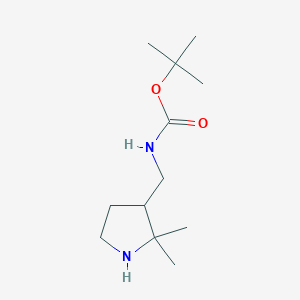 molecular formula C12H24N2O2 B2780501 叔丁基-N-[(2,2-二甲基吡咯啉-3-基)甲基]氨基甲酸酯 CAS No. 1781017-66-0