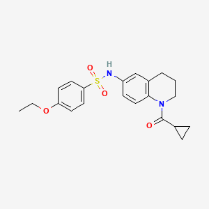 molecular formula C21H24N2O4S B2782949 N-[1-(环丙烷甲酰)-3,4-二氢-2H-喹啉-6-基]-4-乙氧基苯磺酰胺 CAS No. 946258-01-1