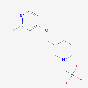 2-Methyl-4-[[1-(2,2,2-trifluoroethyl)piperidin-3-yl]methoxy]pyridine