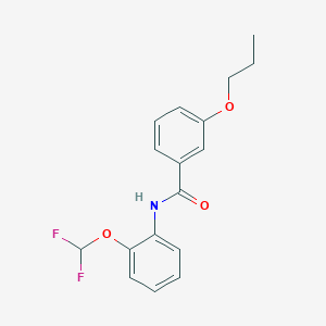molecular formula C17H17F2NO3 B278368 N-[2-(difluoromethoxy)phenyl]-3-propoxybenzamide 