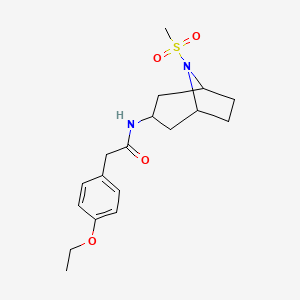 molecular formula C18H26N2O4S B2783835 2-(4-ethoxyphenyl)-N-(8-(methylsulfonyl)-8-azabicyclo[3.2.1]octan-3-yl)acetamide CAS No. 2034284-30-3