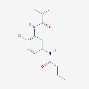 molecular formula C14H19ClN2O2 B278456 N-[4-chloro-3-(isobutyrylamino)phenyl]butanamide 