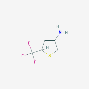 molecular formula C5H8F3NS B2785371 5-(Trifluoromethyl)thiolan-3-amine CAS No. 1488631-50-0