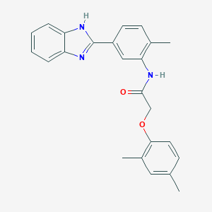 N-[5-(1H-benzimidazol-2-yl)-2-methylphenyl]-2-(2,4-dimethylphenoxy)acetamide
