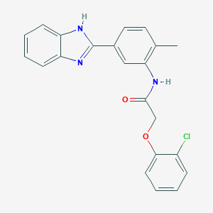molecular formula C22H18ClN3O2 B278594 N-[5-(1H-benzimidazol-2-yl)-2-methylphenyl]-2-(2-chlorophenoxy)acetamide 
