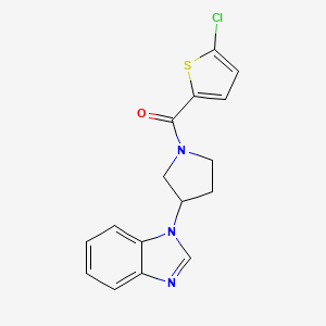 molecular formula C16H14ClN3OS B2786683 (3-(1H-benzo[d]imidazol-1-yl)pyrrolidin-1-yl)(5-chlorothiophen-2-yl)methanone CAS No. 2034298-86-5