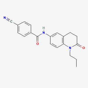 molecular formula C20H19N3O2 B2787308 4-cyano-N-(2-oxo-1-propyl-1,2,3,4-tetrahydroquinolin-6-yl)benzamide CAS No. 946220-57-1