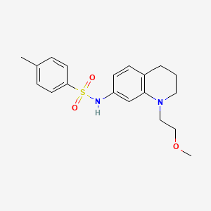 molecular formula C19H24N2O3S B2787556 N-(1-(2-methoxyethyl)-1,2,3,4-tetrahydroquinolin-7-yl)-4-methylbenzenesulfonamide CAS No. 1171361-78-6