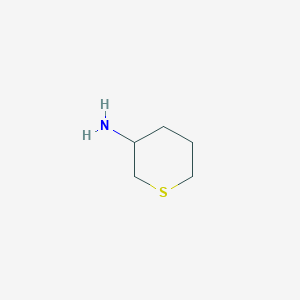 molecular formula C5H11NS B2788540 硫代吡嗪-3-胺 CAS No. 117593-38-1