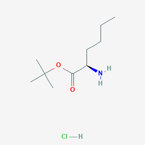 molecular formula C10H22ClNO2 B2788855 H-DNle-OtBu.HCl CAS No. 158741-12-9