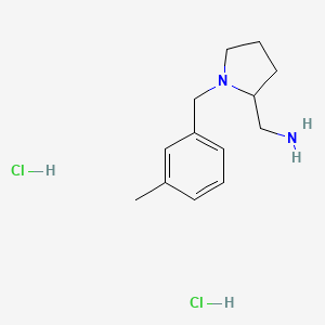 molecular formula C13H22Cl2N2 B2789838 [1-[(3-Methylphenyl)methyl]pyrrolidin-2-yl]methanamine;dihydrochloride CAS No. 2460750-00-7
