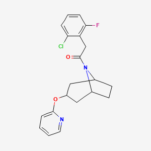 2-(2-chloro-6-fluorophenyl)-1-[3-(pyridin-2-yloxy)-8-azabicyclo[3.2.1]octan-8-yl]ethan-1-one