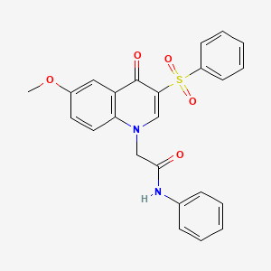 molecular formula C24H20N2O5S B2793578 2-(6-methoxy-4-oxo-3-(phenylsulfonyl)quinolin-1(4H)-yl)-N-phenylacetamide CAS No. 902277-98-9