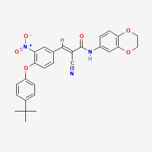 molecular formula C28H25N3O6 B2795522 (E)-3-[4-(4-tert-butylphenoxy)-3-nitrophenyl]-2-cyano-N-(2,3-dihydro-1,4-benzodioxin-6-yl)prop-2-enamide CAS No. 744223-73-2