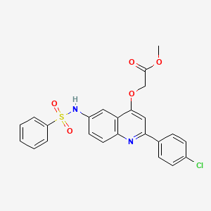 molecular formula C24H19ClN2O5S B2795567 甲基 2-{[6-苯磺酰氨基-2-(4-氯苯基)喹啉-4-基]氧基}乙酸酯 CAS No. 1189885-14-0