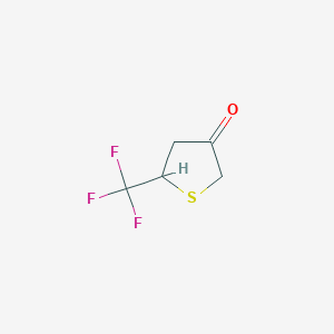 molecular formula C5H5F3OS B2796096 5-(Trifluoromethyl)thiolan-3-one CAS No. 51907-04-1