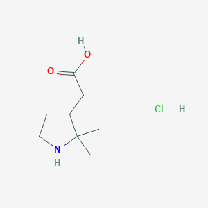 2-(2,2-Dimethylpyrrolidin-3-yl)acetic acid;hydrochloride