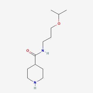 molecular formula C12H24N2O2 B2796531 N-[3-(propan-2-yloxy)propyl]piperidine-4-carboxamide CAS No. 886504-53-6