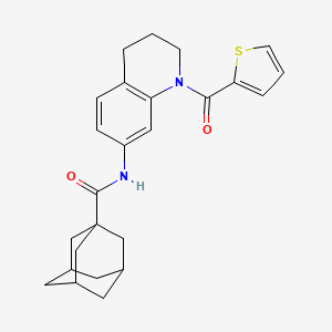 N-[1-(2-thienylcarbonyl)-1,2,3,4-tetrahydroquinolin-7-yl]adamantane-1-carboxamide