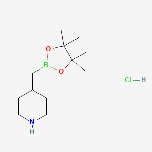molecular formula C12H25BClNO2 B2797051 4-((4,4,5,5-四甲基-1,3,2-二氧杂硼杂环戊烷-2-基)甲基)哌啶盐酸盐 CAS No. 2365173-97-1