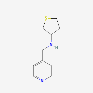 N-(pyridin-4-ylmethyl)tetrahydrothiophen-3-amine