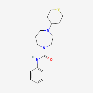 molecular formula C17H25N3OS B2797601 N-苯基-4-(四氢-2H-噻吡喃-4-基)-1,4-二氮杂环庚烷-1-甲酰胺 CAS No. 2034209-32-8