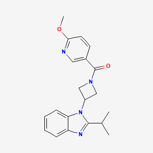 (6-Methoxypyridin-3-yl)-[3-(2-propan-2-ylbenzimidazol-1-yl)azetidin-1-yl]methanone