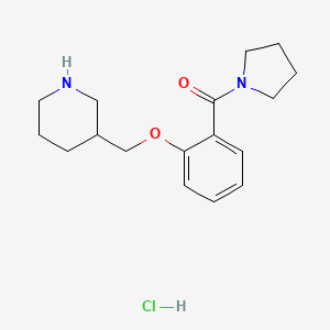 molecular formula C17H25ClN2O2 B2800429 (2-(哌啶-3-基甲氧基)苯基)(吡咯烷-1-基)甲酮盐酸盐 CAS No. 2309727-59-9
