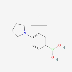 3-Tert-butyl-4-pyrrolidinophenylboronic acid