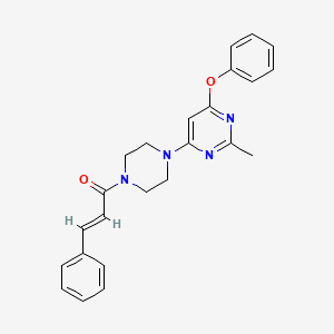 molecular formula C24H24N4O2 B2802877 (E)-1-(4-(2-甲基-6-苯氧基吡嘧啶-4-基)哌嗪-1-基)-3-苯基丙-2-烯-1-酮 CAS No. 1021074-86-1