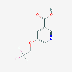 molecular formula C8H6F3NO3 B2802891 5-(2,2,2-Trifluoroethoxy)pyridine-3-carboxylic acid CAS No. 1304787-81-2
