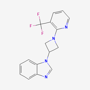 molecular formula C16H13F3N4 B2803077 1-[1-[3-(Trifluoromethyl)pyridin-2-yl]azetidin-3-yl]benzimidazole CAS No. 2380084-63-7